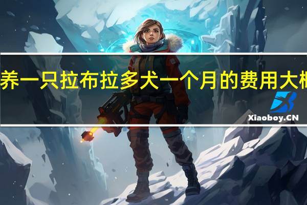 饲养一只拉布拉多犬一个月的费用大概是多少