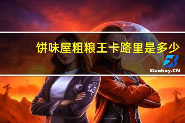 饼味屋 粗粮王卡路里是多少