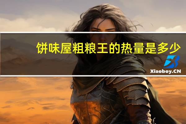 饼味屋 粗粮王的热量是多少