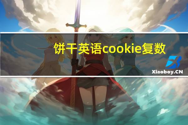 饼干英语cookie复数