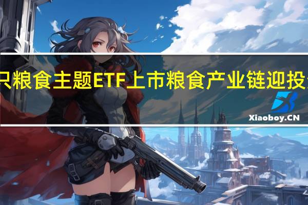 首只粮食主题ETF上市粮食产业链迎投资新机遇