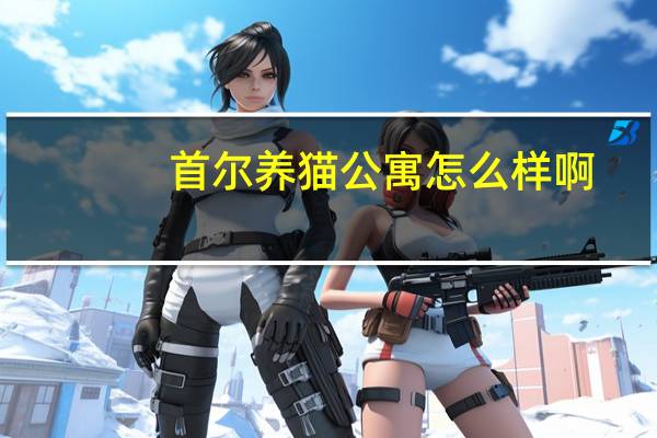 首尔养猫公寓怎么样啊