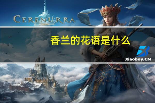 香兰的花语是什么