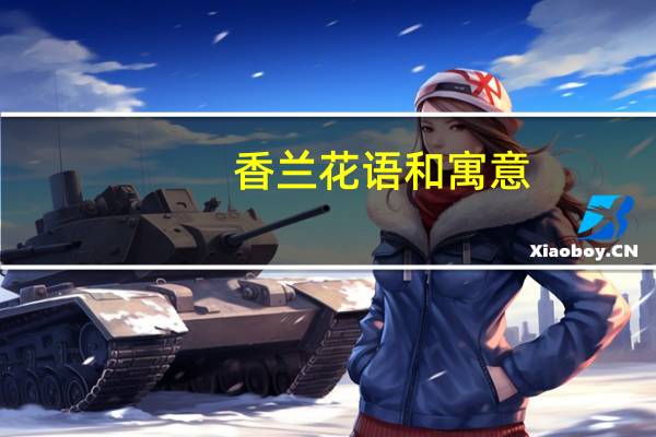 香兰花语和寓意
