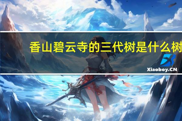 香山碧云寺的三代树是什么树