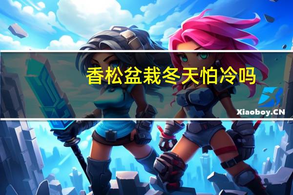 香松盆栽冬天怕冷吗