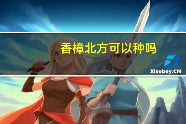 香樟北方可以种吗
