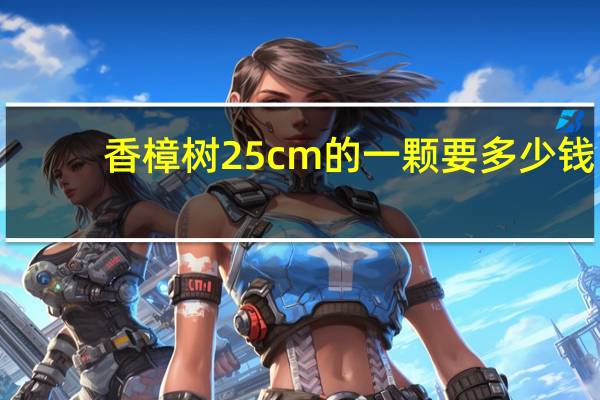 香樟树25cm的一颗要多少钱