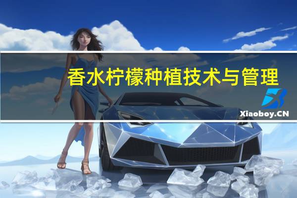香水柠檬种植技术与管理