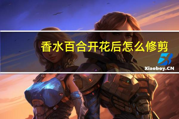 香水百合开花后怎么修剪