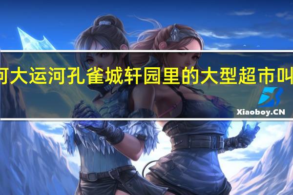 香河大运河孔雀城轩园里的大型超市叫什么名字