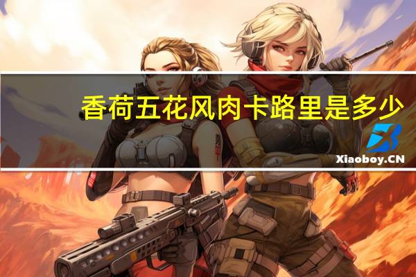 香荷 五花风肉卡路里是多少