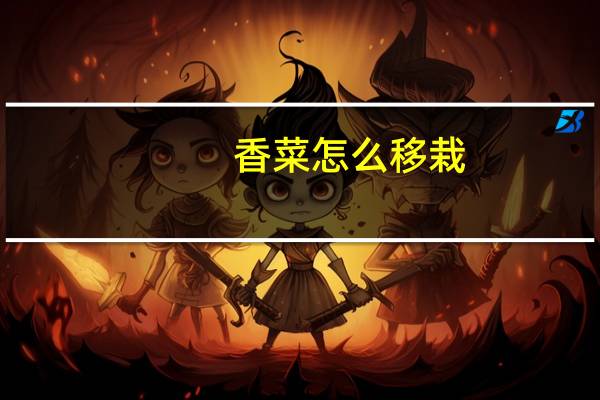 香菜怎么移栽