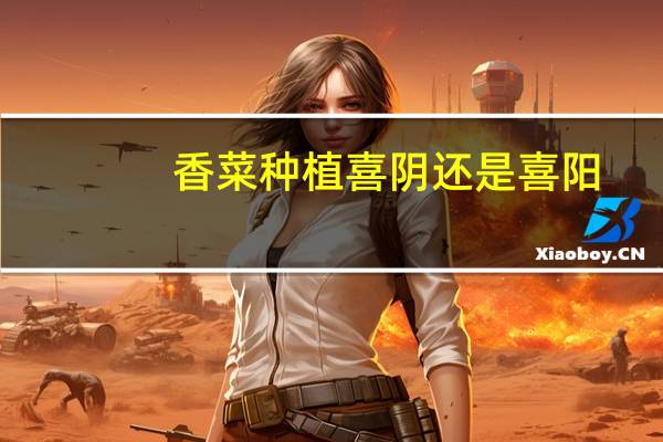 香菜种植喜阴还是喜阳(香菜种植)