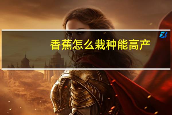 香蕉怎么栽种能高产