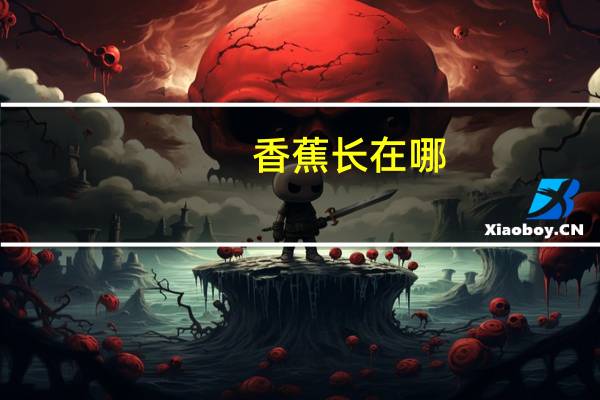 香蕉长在哪