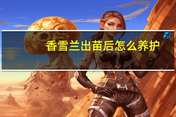 香雪兰出苗后怎么养护