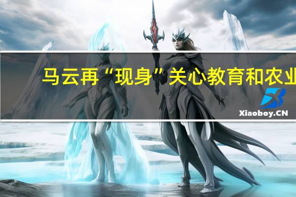 马云再“现身”关心教育和农业