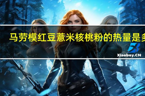 马劳模 红豆薏米核桃粉的热量是多少