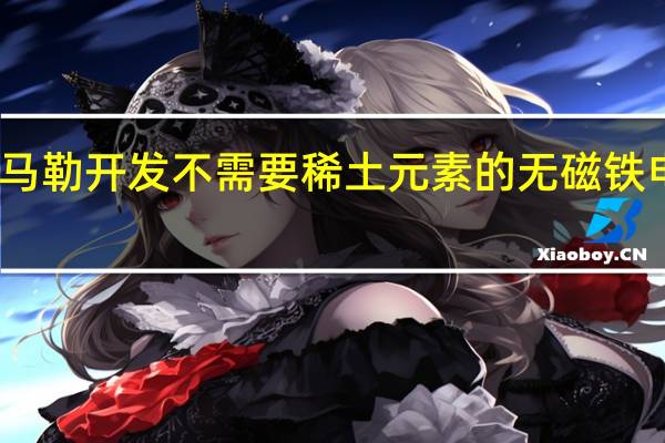 马勒开发不需要稀土元素的无磁铁电动机
