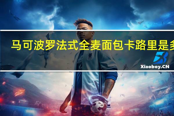 马可波罗法式全麦面包卡路里是多少