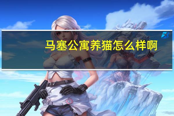 马塞公寓养猫怎么样啊