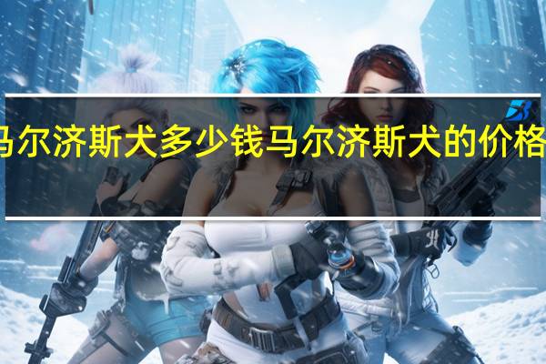 马尔济斯犬多少钱 马尔济斯犬的价格是多少？