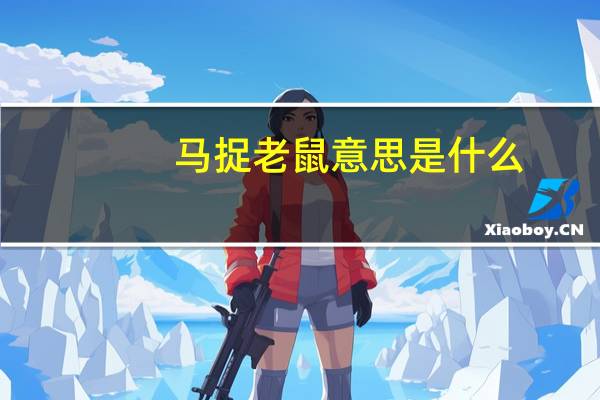 马捉老鼠意思是什么