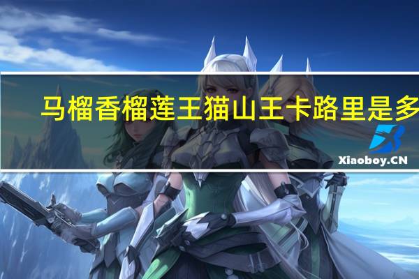 马榴香榴莲王 猫山王卡路里是多少