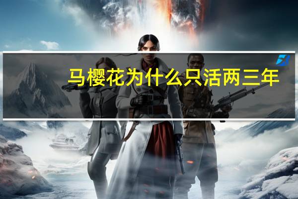 马樱花为什么只活两三年