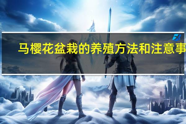 马樱花盆栽的养殖方法和注意事项