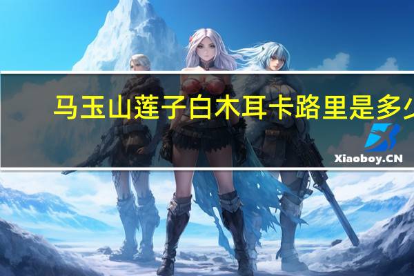 马玉山 莲子白木耳卡路里是多少