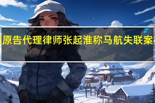 马航家属原告代理律师张起淮称马航失联案被告有5家公司