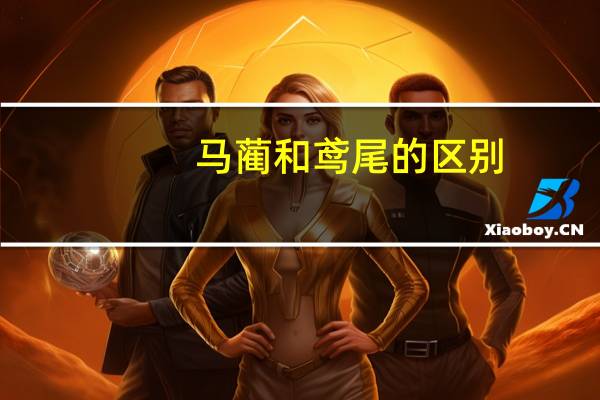 马蔺和鸢尾的区别