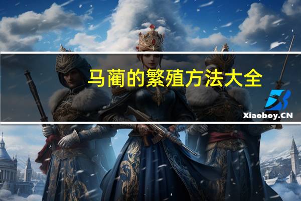马蔺的繁殖方法大全