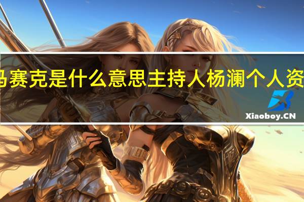 马赛克是什么意思主持人杨澜个人资料简介（马赛克是什么意思）