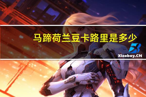 马蹄荷兰豆卡路里是多少