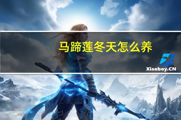 马蹄莲冬天怎么养