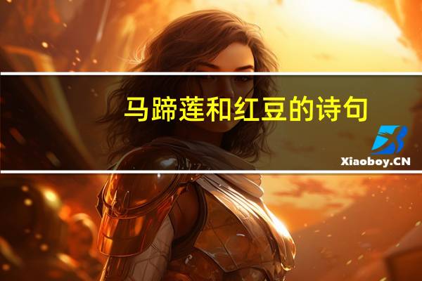 马蹄莲和红豆的诗句