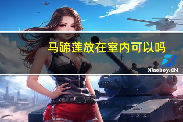 马蹄莲放在室内可以吗