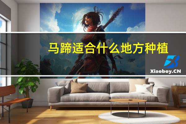马蹄适合什么地方种植