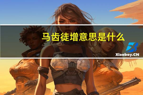 马齿徒增意思是什么