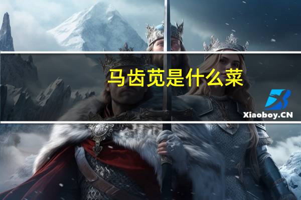 马齿苋是什么菜
