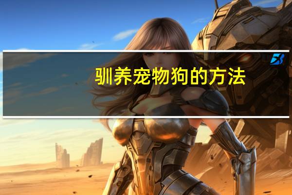 驯养宠物狗的方法