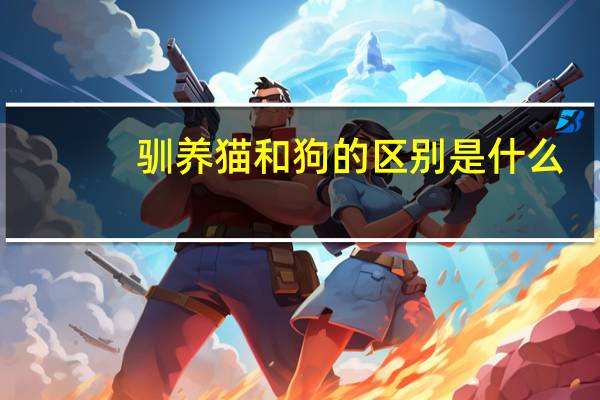 驯养猫和狗的区别是什么