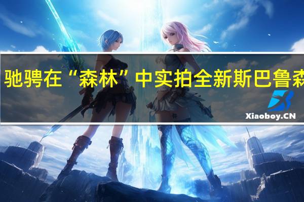 驰骋在“森林”中 实拍全新斯巴鲁森林人