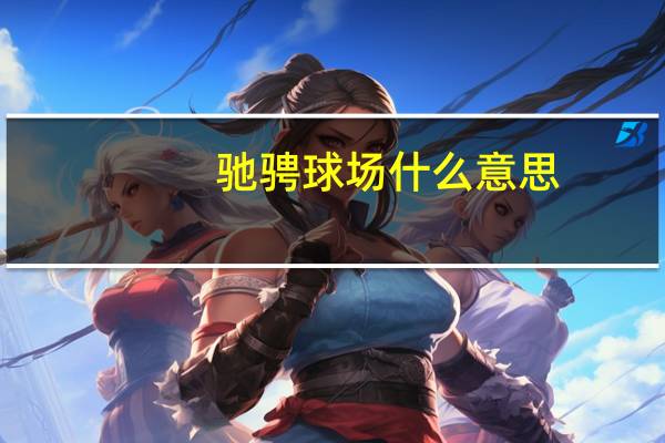 驰骋球场什么意思（驰球简介）