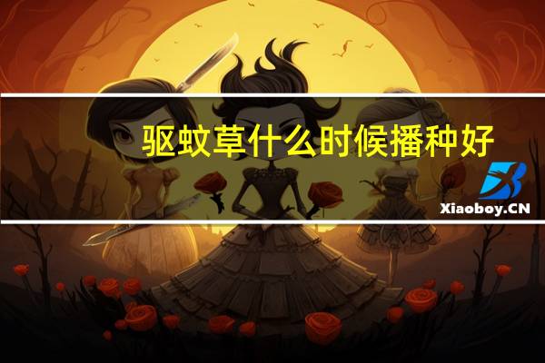 驱蚊草什么时候播种好
