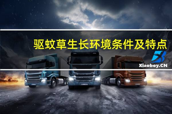 驱蚊草生长环境条件及特点
