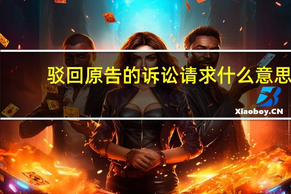 驳回原告的诉讼请求什么意思（驳脚差佬）
